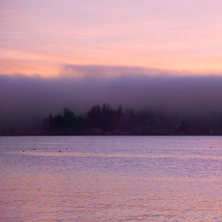 Misty sunrise over water and trees. Sinclair Inlet, Bremerton, Washington.