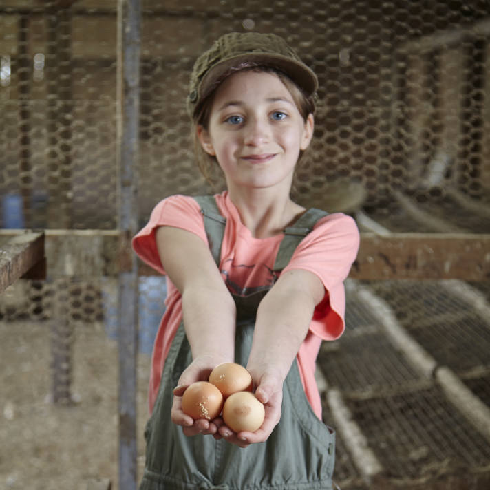 Farm Kid Holding Eggs. Pheasant Fields Farms, Silverdale, WA
