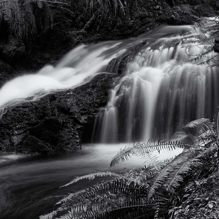 Two-tier waterfall flowing into creek. Port Ludlow, Washington