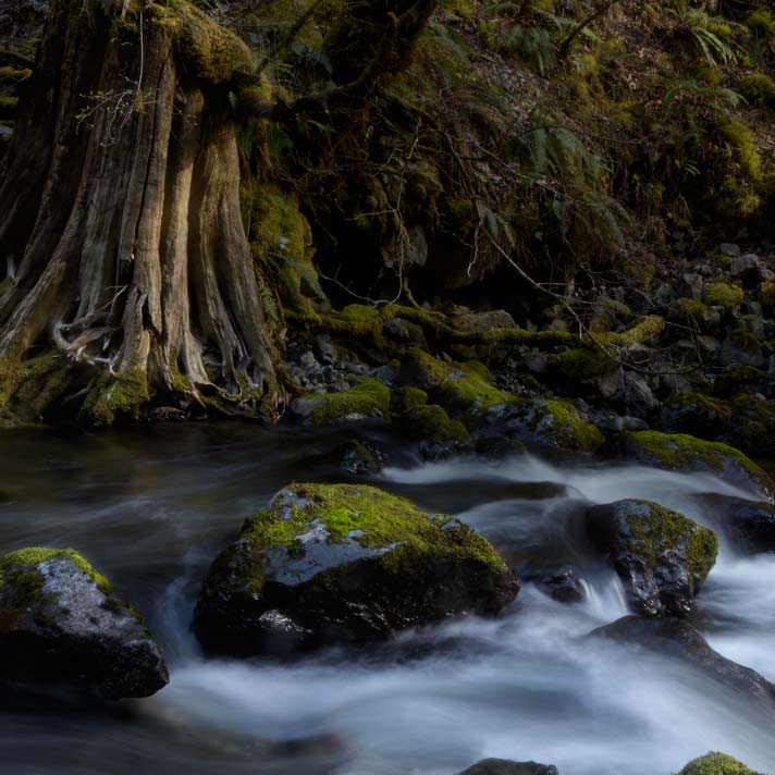 Rocks & water. Rocky Brook Creek Falls. Olympic Peninsula, Washington.
