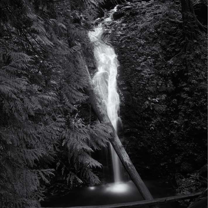 130' horsetail plume Murhat Falls, Olympic National Forest, Washington.