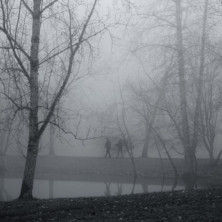 Walking through park on foggy morning. Bainbridge Island, Washington.